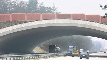 Beispielhaft. In der Uckermark gibt es bereits eine Brücke, auf der Wildtiere die Autobahn überqueren können. Foto: ddp