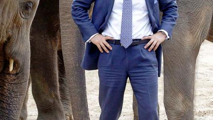 Finanzsenator Ulrich Nußbaum besucht die Elefanten des Tierparks in Friedrichsfelde - und zeigt sich angetan. Für ihn kommt eine Schließung nicht in Frage.