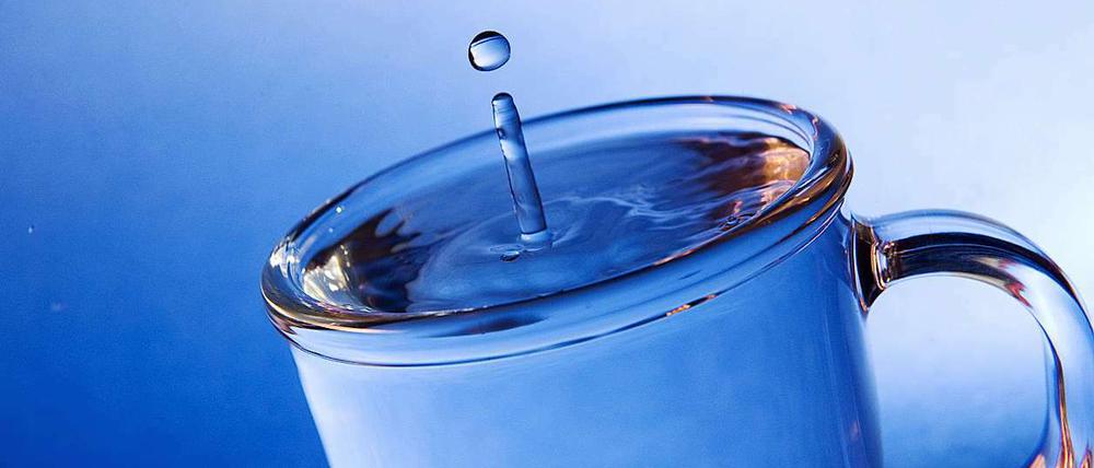 Insgesamt sind etwa 172.000 Unterschriften für den Erfolg des Volksbegehrens „Schluss mit Geheimverträgen - Wir Berliner wollen unser Wasser zurück“ erforderlich.