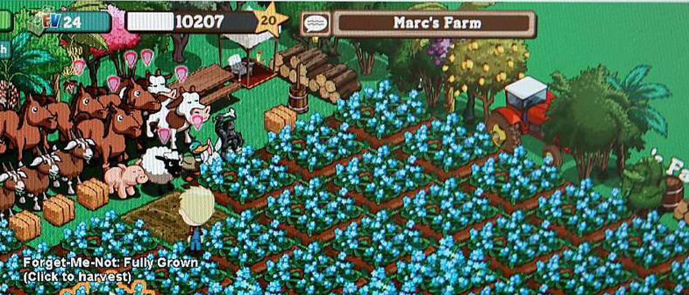 Felder bepflanzen und Schafe züchten: das Online-Spiel Farmville.