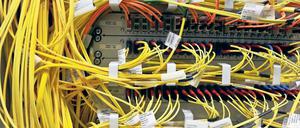 Gut vernetzt. 72 Prozent der Deutschen ab 14 Jahren nutzen das Internet. 3,8 Prozent wollen es bald nutzen, 24,2 Prozent bleiben lieber ohne Anschluss. Foto: dpa