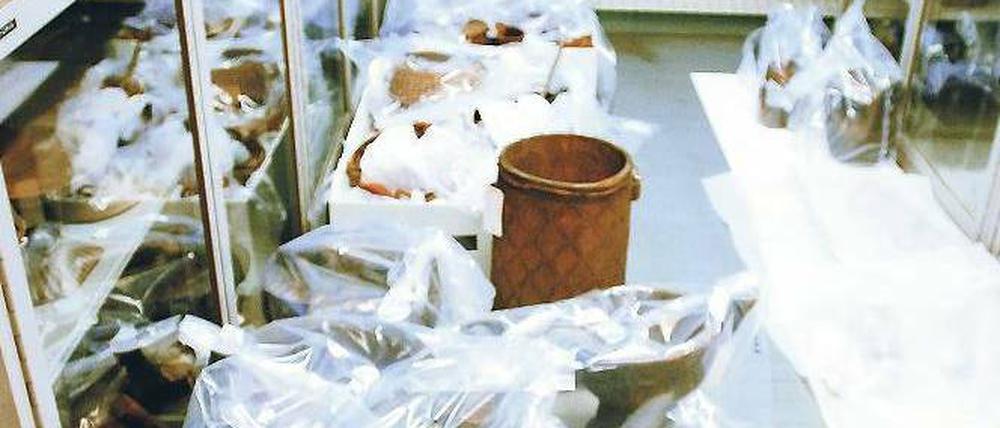 Sicherheitshalber verpackt. Die Afrika-Sammlung in Dahlem. 