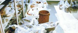 Sicherheitshalber verpackt. Die Afrika-Sammlung in Dahlem. 