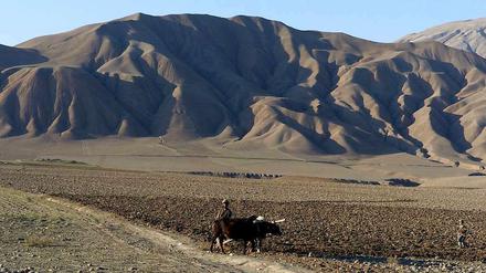 Die in Afghanistan gefundenen Vorräte an Kupfer, Lithium, Eisen, Gold und Kobalt sollen ausreichen, das Land zu einem weltweit führenden Rohstoffexporteur zu machen.