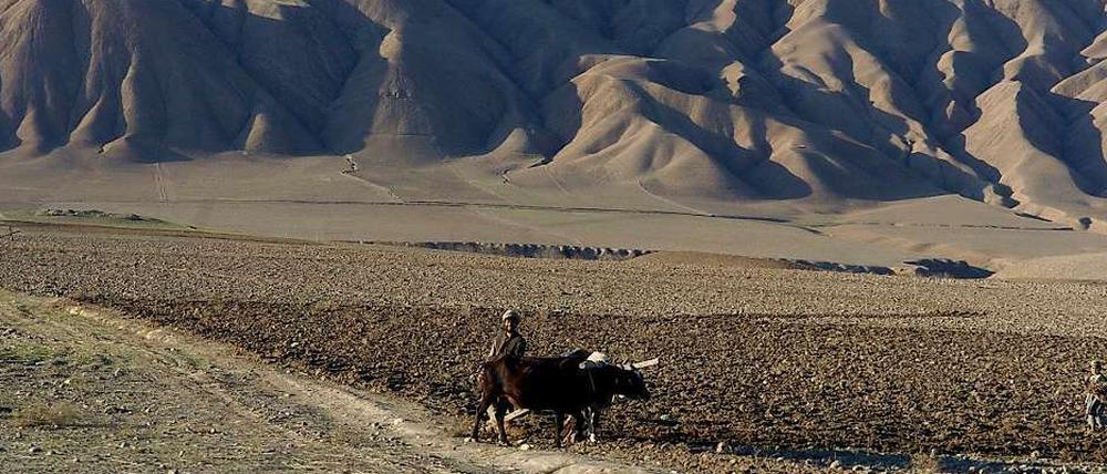 Die in Afghanistan gefundenen Vorräte an Kupfer, Lithium, Eisen, Gold und Kobalt sollen ausreichen, das Land zu einem weltweit führenden Rohstoffexporteur zu machen.
