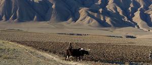 Die in Afghanistan gefundenen Vorräte an Kupfer, Lithium, Eisen, Gold und Kobalt sollen ausreichen, das Land zu einem weltweit führenden Rohstoffexporteur zu machen.