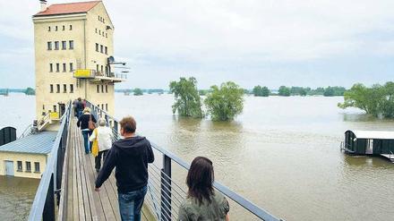 Ausflugziel. Der überflutete Hafen in Groß-Neuendorf im Oderbruch lockte am Sonntag die Schaulustigen an. 