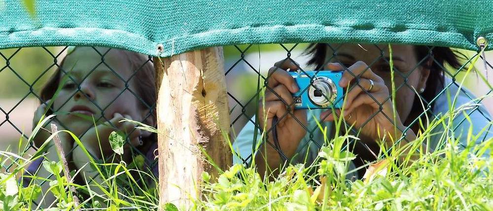 Was tut man nicht alles für einen Blick auf die Mannschaft.