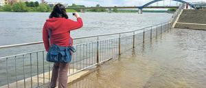 Überflutung. In Frankfurt hat die Oder bereits das Ufer überschwemmt. Viel dramatischer ist jedoch die Lage im Einzugsgebiet des Flusses in Polen. Dort sind bereits Menschen in den Fluten ertrunken. Foto: dpa