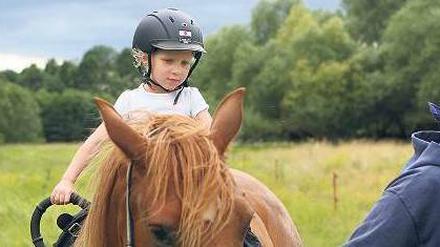 Ein Inselreich für ein Pferd.