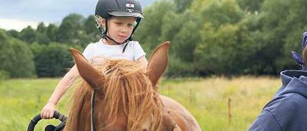 Ein Inselreich für ein Pferd.