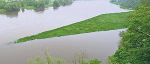 Der Pegel steigt. Noch sieht es an der Oder, hier bei Lossow südlich von Frankfurt, harmlos und idyllisch aus. Das könnte sich bald ändern. Foto: Pleul/dpa