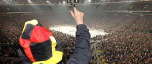 Einer von 77.803: Für die deutschen Fans gab es auf Schalke was zu feiern.