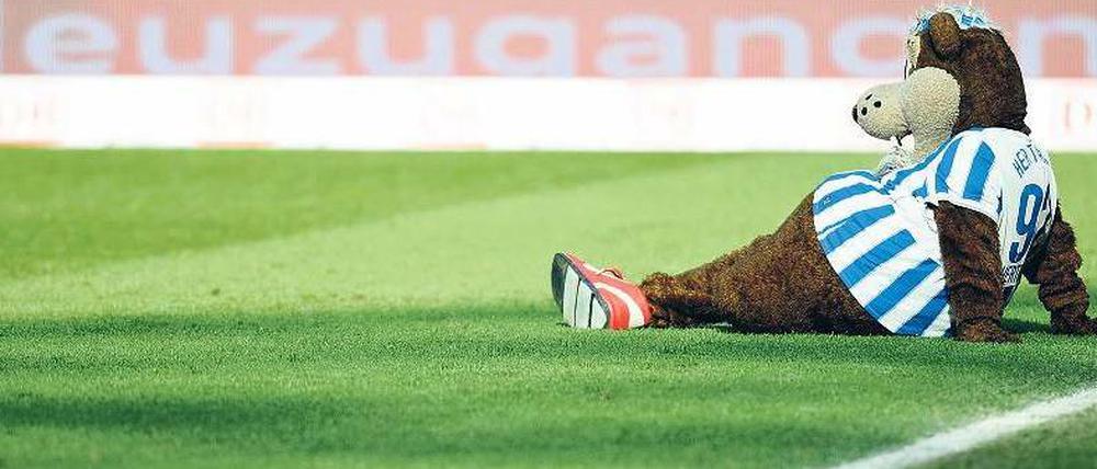 Die letzten Sonnenstrahlen. Noch genießt Hertha die Annehmlichkeiten eines Bundesligisten. Das könnte bald vorbei sein. 