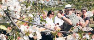 Blühende Landschaften. Zahlreiche Obstgärten in Werder sind ab kommenden Sonnabend wieder geöffnet. Die Besitzer servieren Kaffee und Kuchen – und natürlich Obstwein.