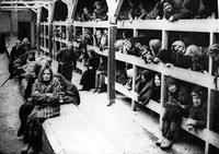 Gefangene im Konzentrationslager Auschwitz-Birkenau.
