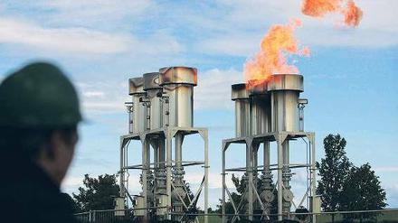 Nicht lange Fackeln. Biogas konnte 2009 so stark zulegen, wie kein andere Bereich der erneuerbaren Energien, hier eine Anlage in Güstrow in Mecklenburg-Vorpommern. Der Biogasanteil am Stromverbrauch liegt in Deutschland inzwischen bei 5,2 Prozent. Foto: ddp