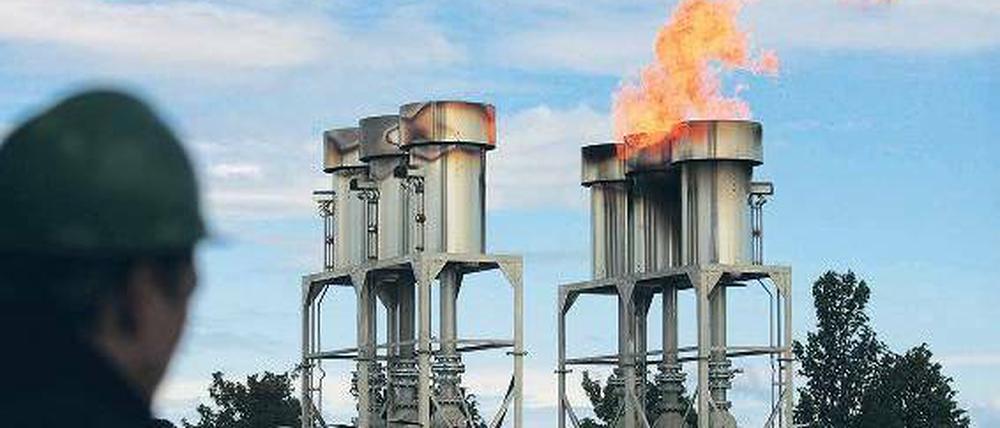 Nicht lange Fackeln. Biogas konnte 2009 so stark zulegen, wie kein andere Bereich der erneuerbaren Energien, hier eine Anlage in Güstrow in Mecklenburg-Vorpommern. Der Biogasanteil am Stromverbrauch liegt in Deutschland inzwischen bei 5,2 Prozent. Foto: ddp