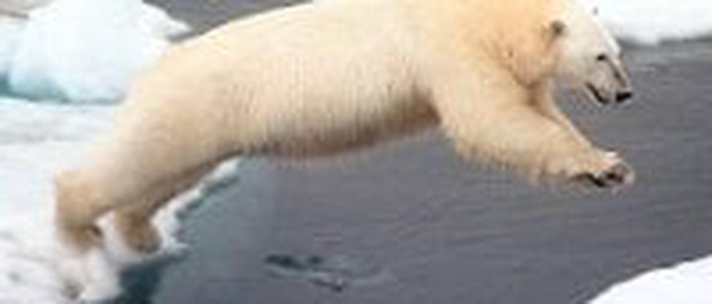 328683_0_d35ae2c8.jpg