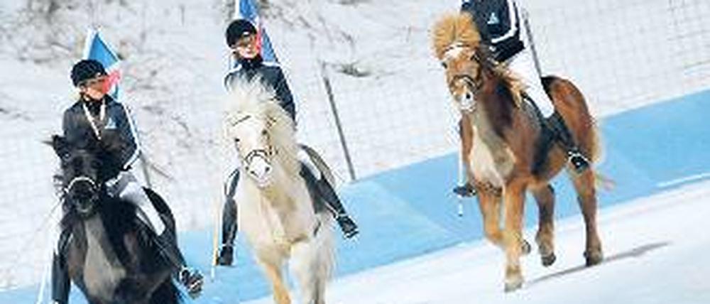 327334_0_0caa185b.jpg