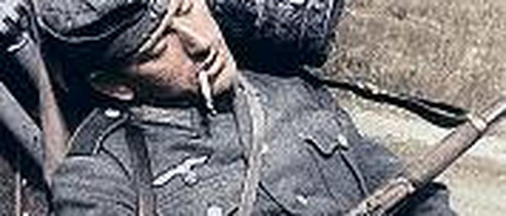 327681_0_6183bbab.jpg