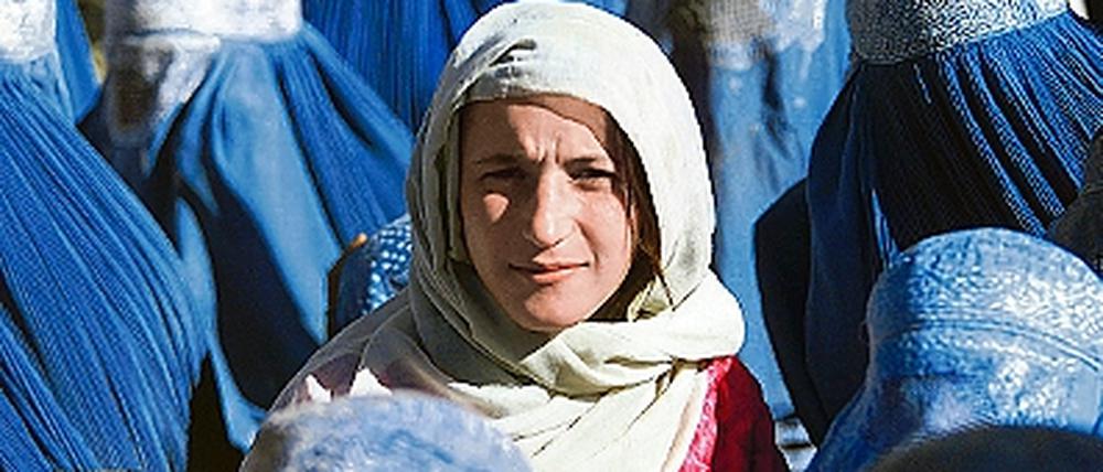316377_0_0dd3a470.jpg