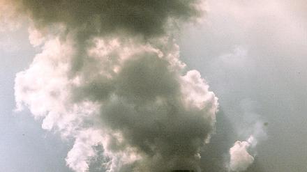 313995_0_7ff7ca64.jpg