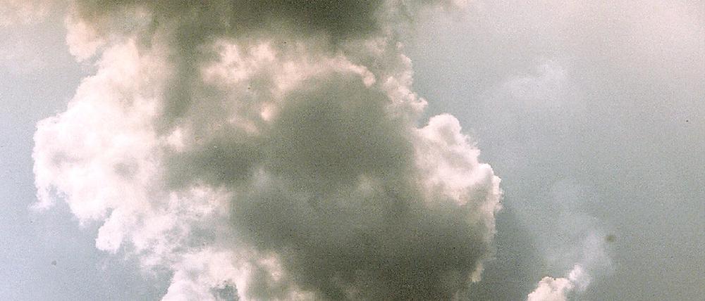 313995_0_7ff7ca64.jpg