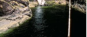 299411_0_3e58a81d.jpg