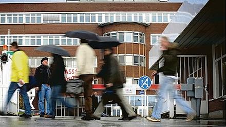 308329_0_cdc2a37e.jpg