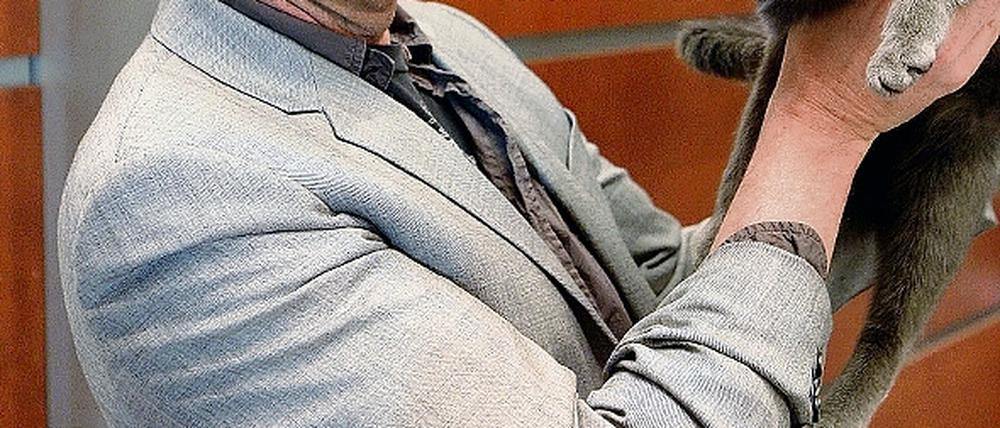 307662_0_d1f346ed.jpg