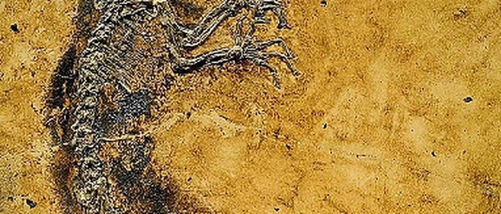 299638_0_f6e50f16.jpg
