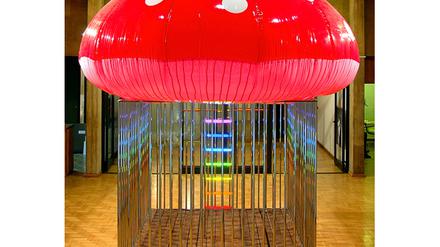 299737_0_e9f23964.jpg