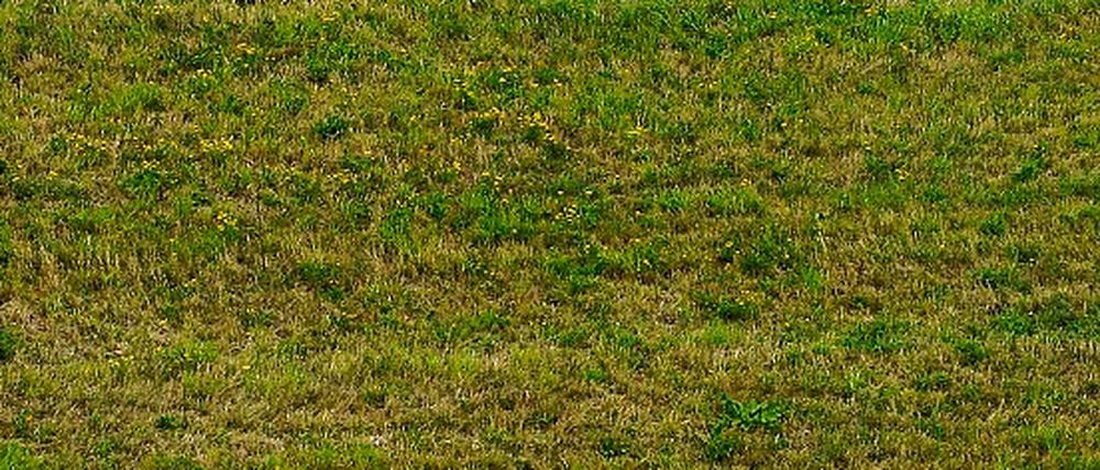 293797_0_cdc0e542.jpg