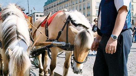 290931_0_d30f059d.jpg