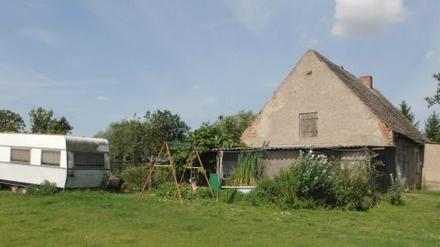 290653_3_Mdchen_j_2_dpa.jpg
