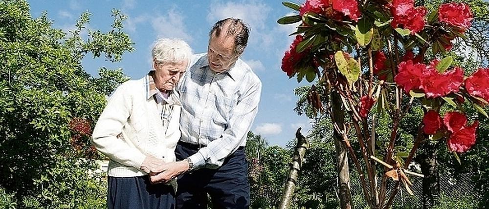 288079_3_xio-fcmsimage-20090715194850-006000-4a5e1682c45e5.heprodimagesfotos8712009071610279156neu.jpg