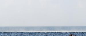 Maersk-Alabama Capt. Phillips Rescued