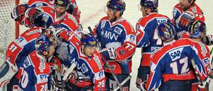 Adler Mannheim - Sinupret Ice Tigers Nürnberg