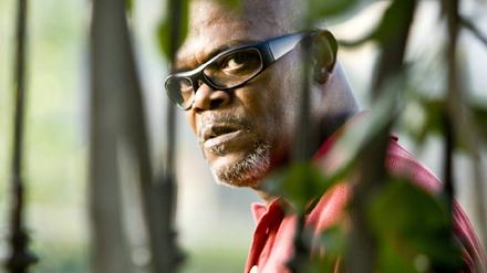 Lakeview Terrace