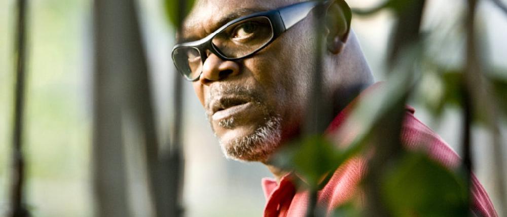 Lakeview Terrace