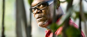 Lakeview Terrace