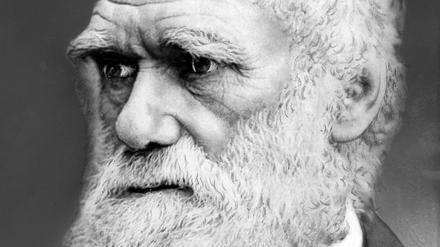 Darwin
