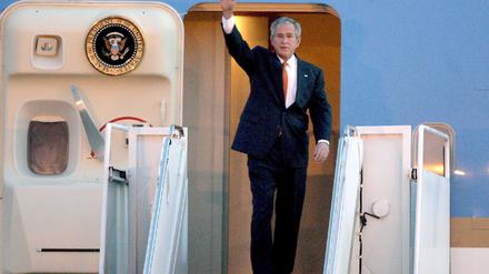 Bush