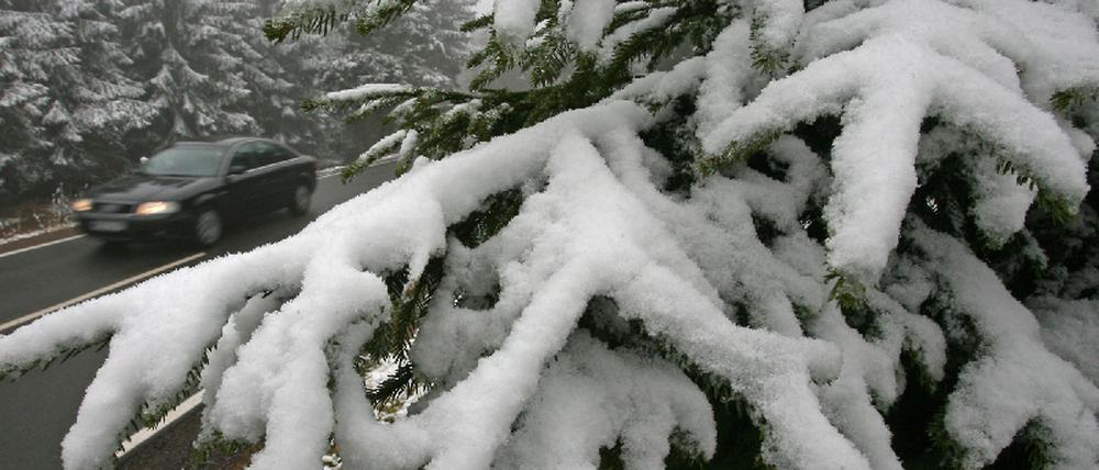 Winter