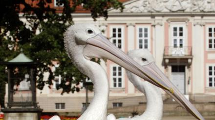 friedrichsfelde