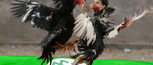 Ballack Bierhoff