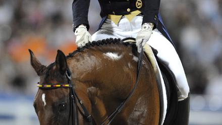 Peking 2008 - Pferdesport