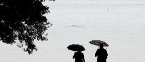 Stechlinsee