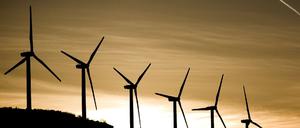 Windpark